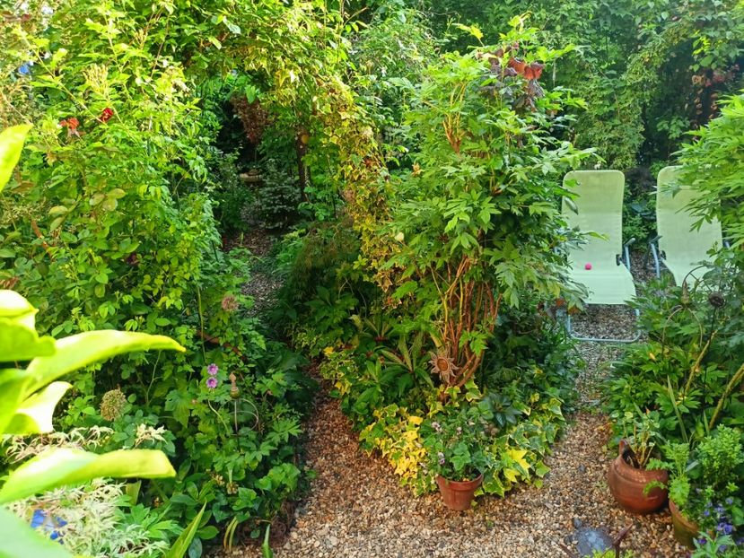  - Grădina 2023 continuare 2