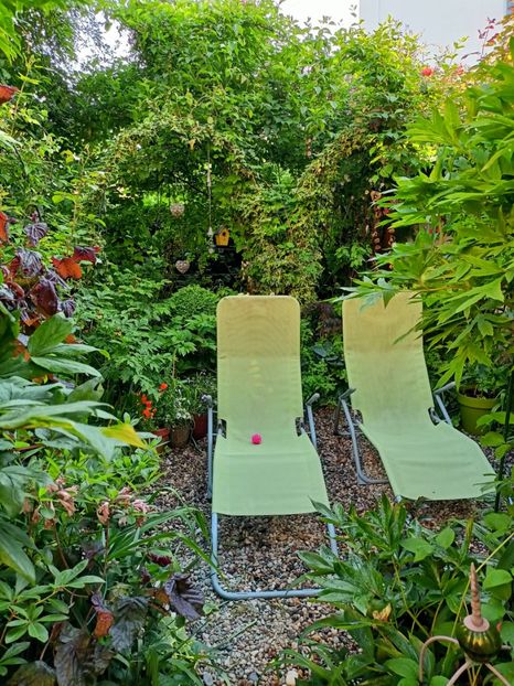  - Grădina 2023 continuare 2