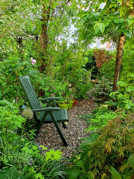  - Grădina 2023 continuare 2