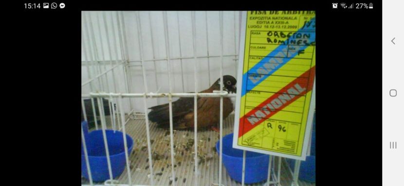 Screenshot_20230228-151442_Facebook - 2023