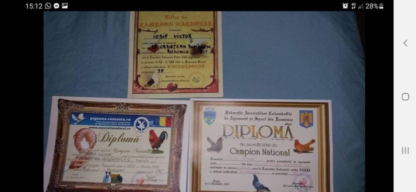 Screenshot_20230228-151240_Facebook - 2023