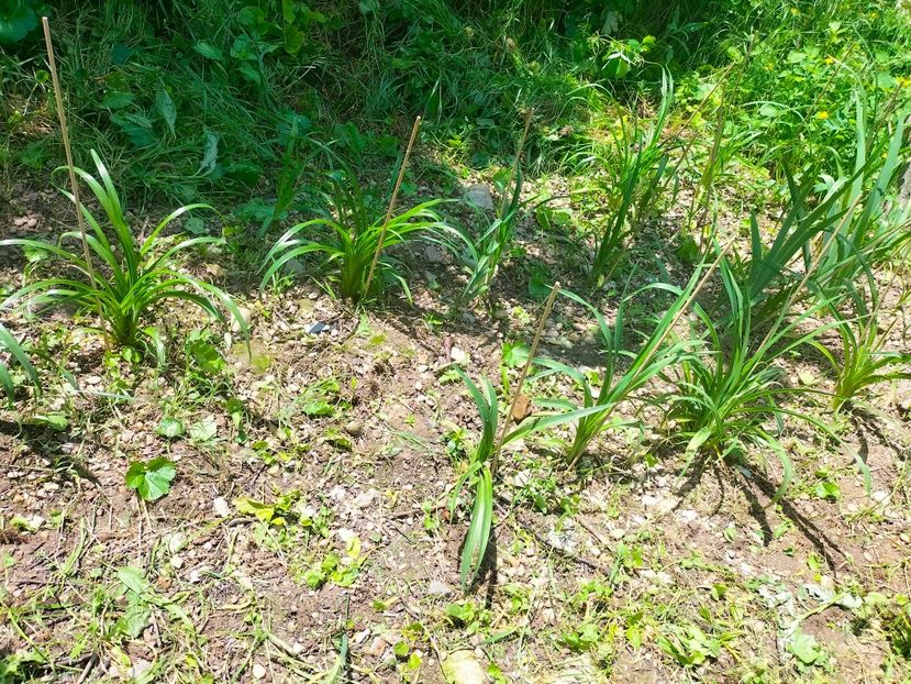 IMG20230522133609 - Mai 2023 vol 1