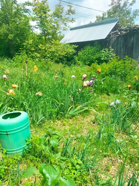 IMG20230522132753 - Mai 2023 vol 1