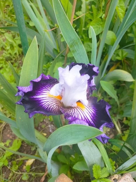 IMG20230522132349 - Mai 2023 vol 1