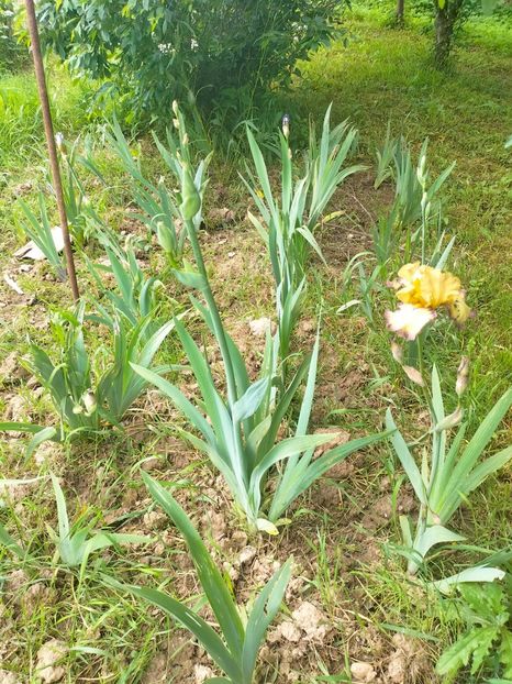 IMG20230522131845 - Mai 2023 vol 1