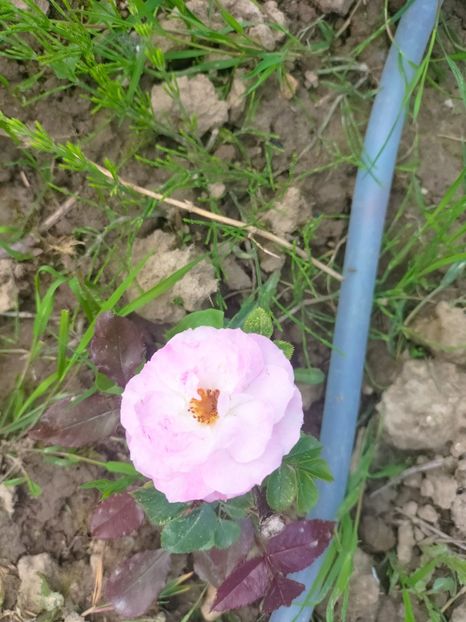 IMG20230522131758 - Mai 2023 vol 1