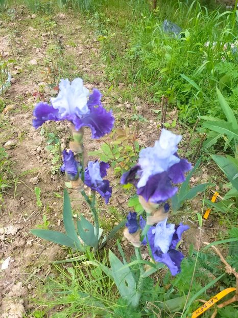 IMG20230522131748 - Mai 2023 vol 1