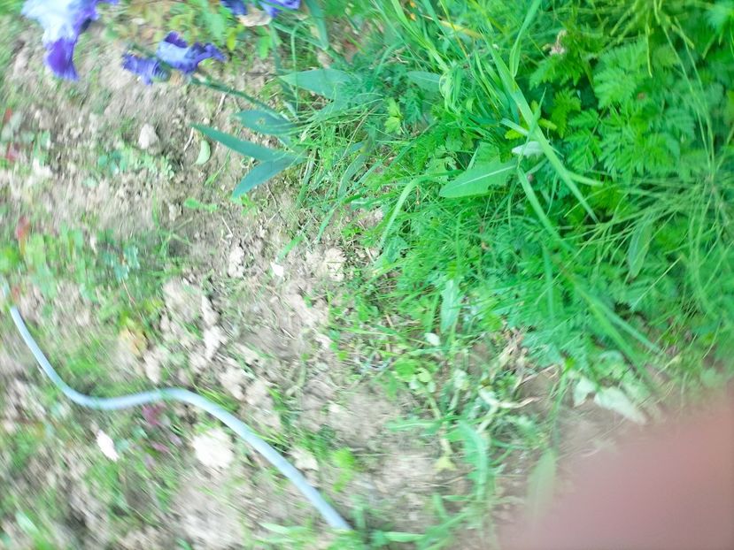 IMG20230522131745 - Mai 2023 vol 1