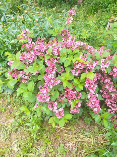 IMG20230522131556 - Mai 2023 vol 1