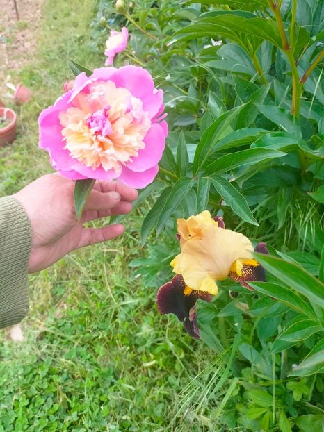 IMG20230522131449 - Mai 2023 vol 1