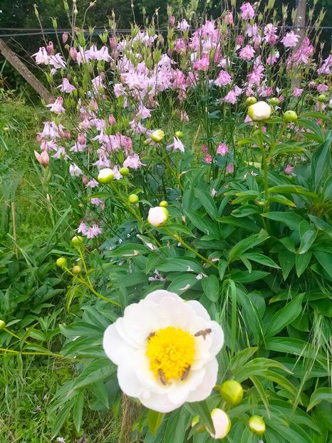 IMG20230522131440 - Mai 2023 vol 1