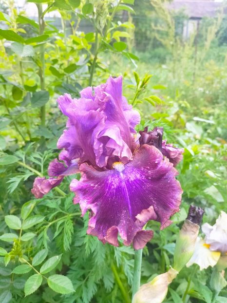 IMG20230522131315 - Mai 2023 vol 1