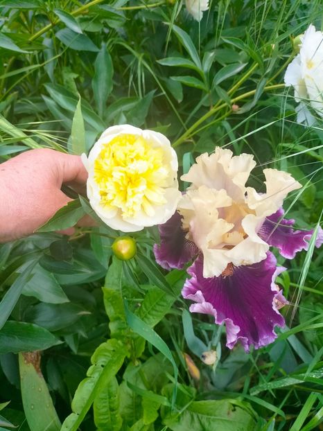 IMG20230522130957 - Mai 2023 vol 1