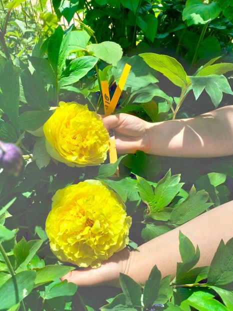 IMG20230521120227 - Mai 2023 vol 1