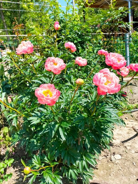 IMG20230521113835 - Mai 2023 vol 1