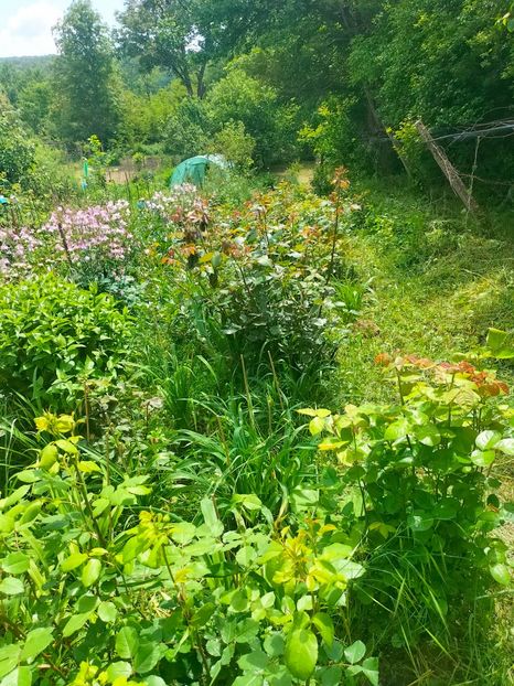 IMG20230522132737 - Album 2023 vol 1