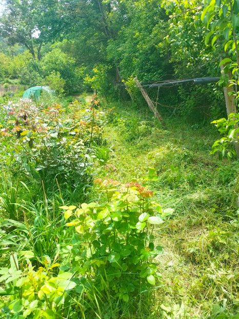 IMG20230522132733 - Album 2023 vol 1