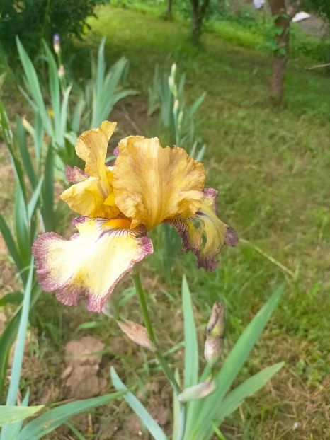 IMG20230522131815 - Album 2023 vol 1