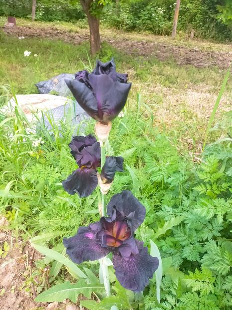 IMG20230522131753 - Album 2023 vol 1