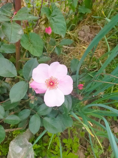 IMG20230522131419 - Album 2023 vol 1