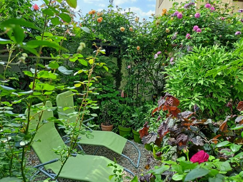  - Grădina 2023 continuare 2