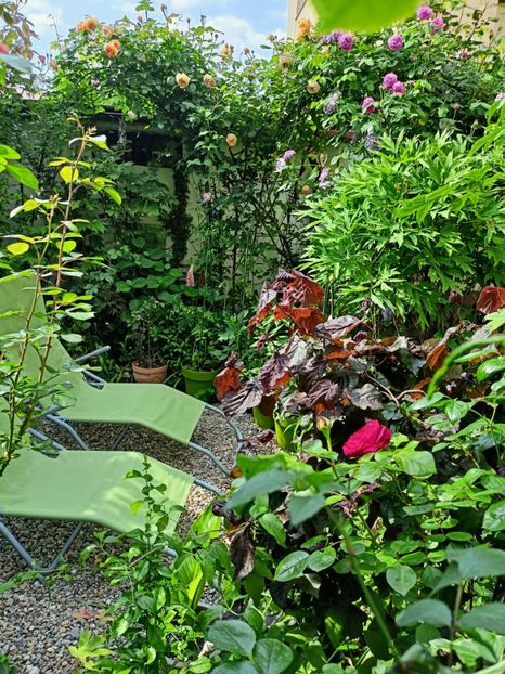  - Grădina 2023 continuare 2