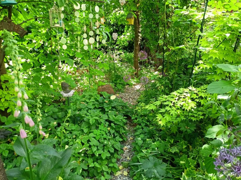  - Grădina 2023 continuare 2