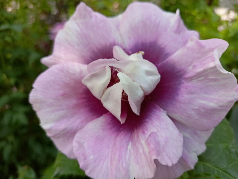  - Grădina 2023 continuare 2