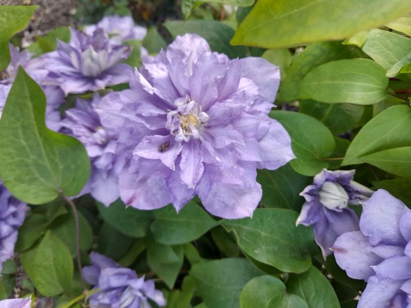  - 1 Bucurii nemuritoare 2023