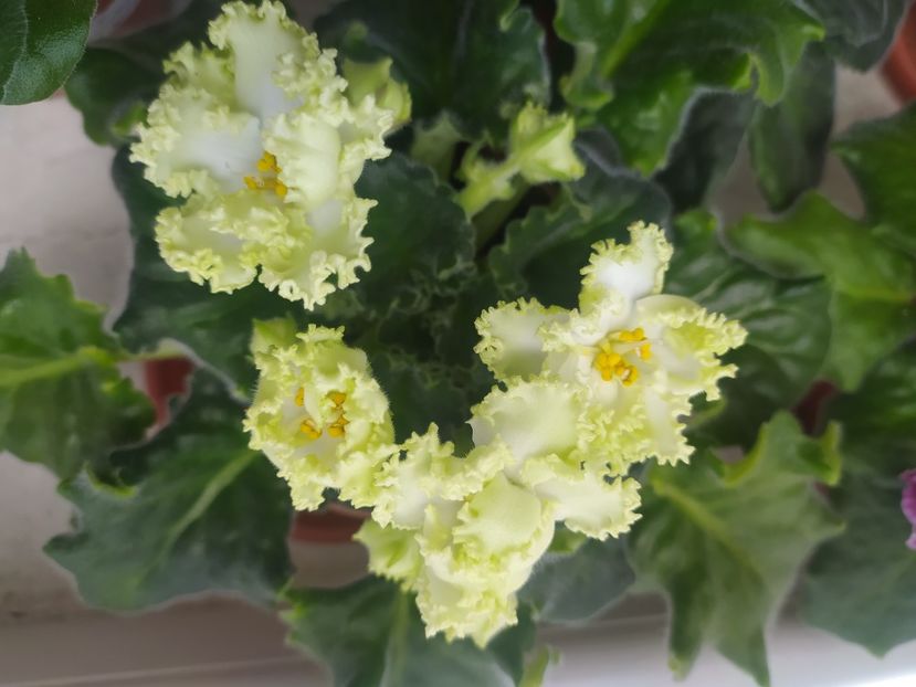 22 mai 2023 - RS Izumrudnyj Gorod