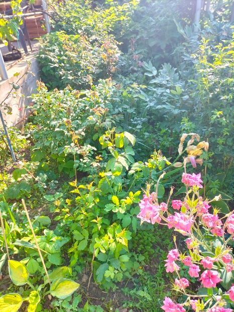 IMG20230523085622 - Album 2023 vol 1