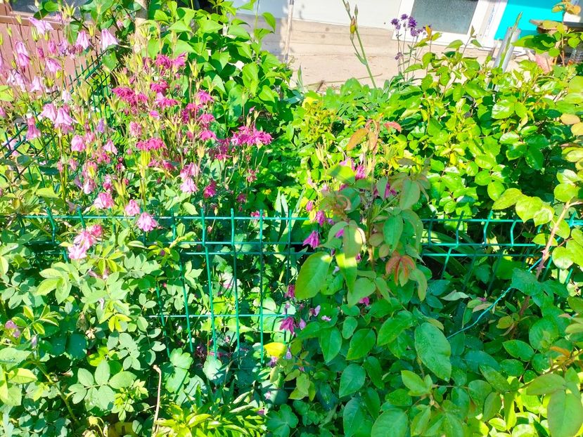 IMG20230523085615 - Album 2023 vol 1