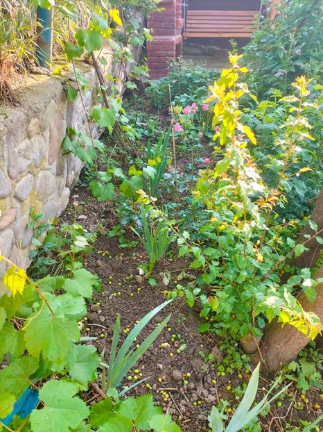 IMG20230523085540 - Album 2023 vol 1