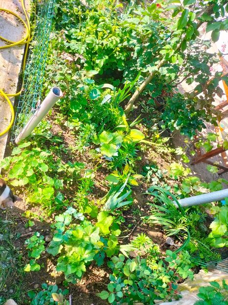 IMG20230523084554 - Album 2023 vol 1