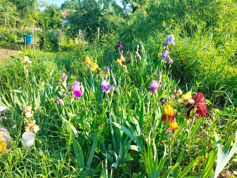 IMG20230523083305 - Album 2023 vol 1