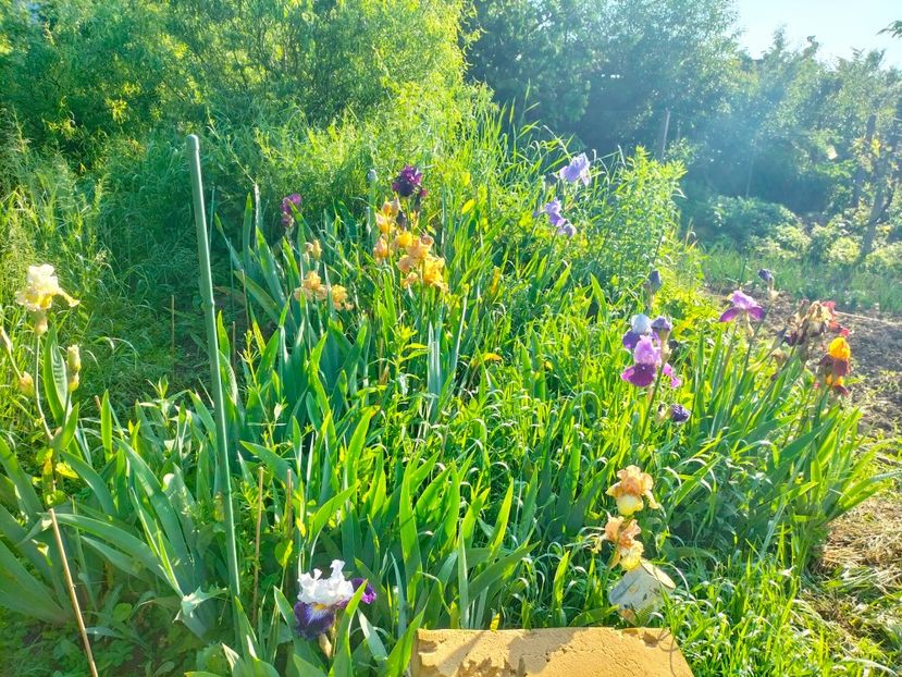 IMG20230523083018 - Album 2023 vol 1