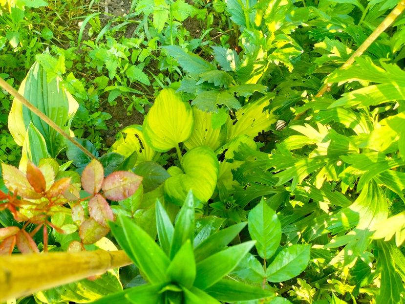 IMG20230523082035 - Album 2023 vol 1