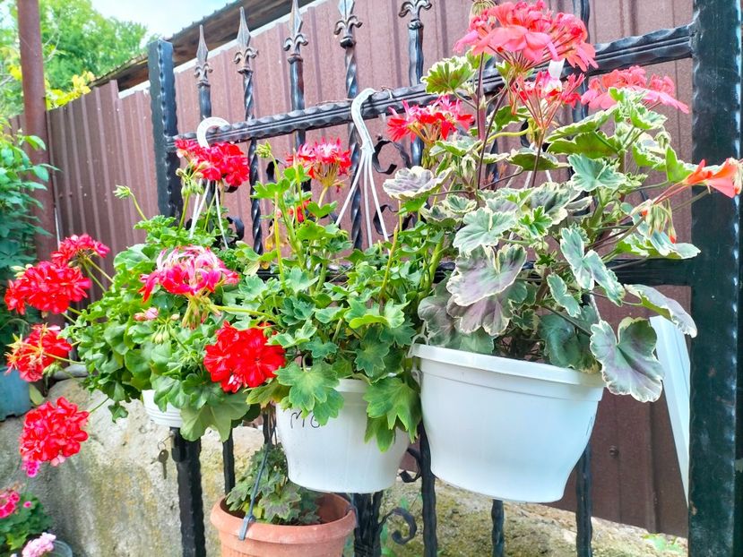 IMG20230523193839 - Mai 2023 vol 1