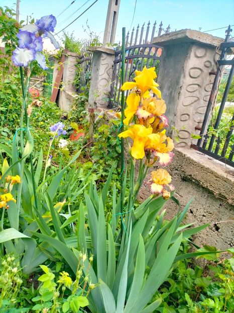 IMG20230523193650 - Mai 2023 vol 1