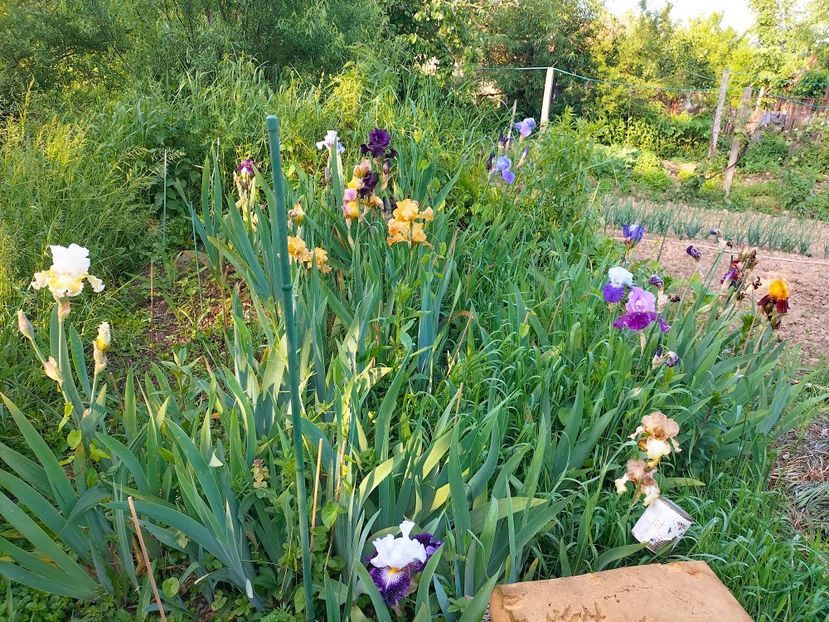 IMG20230523185828 - Mai 2023 vol 1