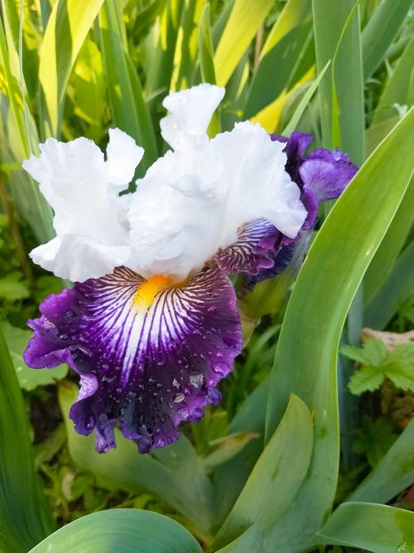 IMG20230523185807 - Mai 2023 vol 1