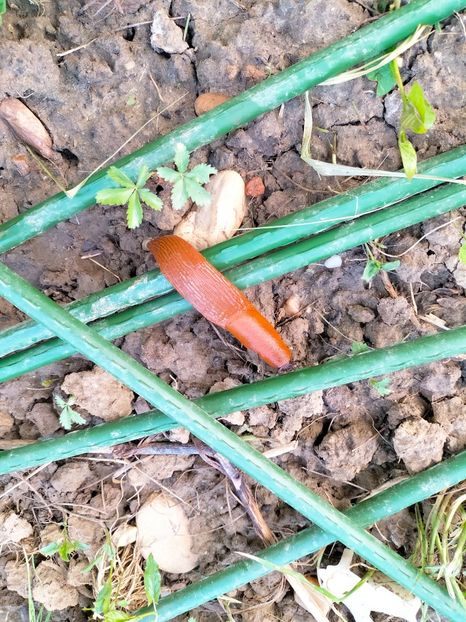 IMG20230523185627 - Mai 2023 vol 1