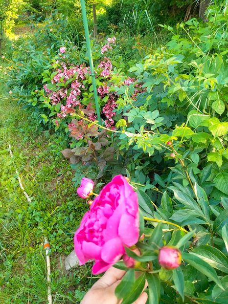 IMG20230523185559 - Mai 2023 vol 1