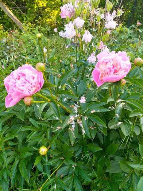 IMG20230523185504 - Mai 2023 vol 1