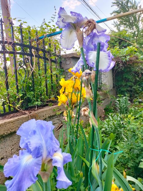 IMG20230523193558 - Mai 2023 vol 1