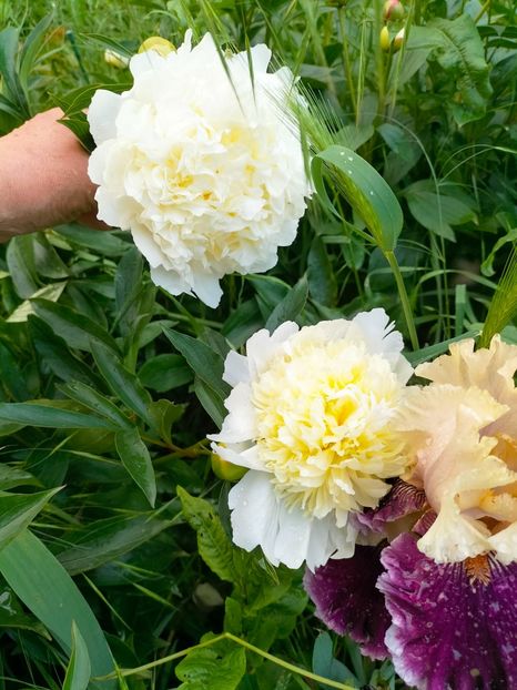 IMG20230523193209 - Mai 2023 vol 1