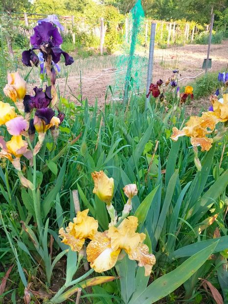 IMG20230523185740 - Mai 2023 vol 1