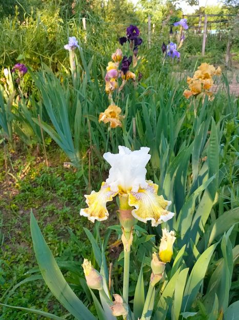 IMG20230523185723 - Mai 2023 vol 1