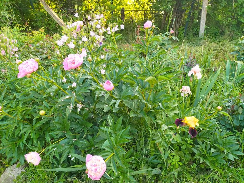 IMG20230523185456 - Mai 2023 vol 1