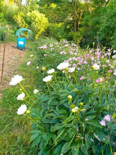 IMG20230523185432 - Mai 2023 vol 1